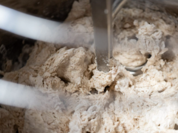 DG Pro-ec kneading